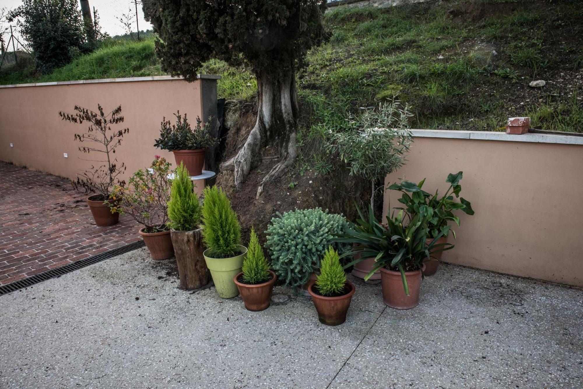 Terre Di Séjour à la ferme Anghiari